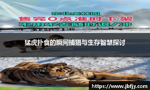 猛虎扑食的瞬间捕猎与生存智慧探讨