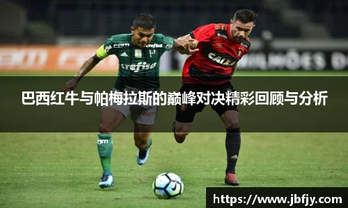 raybet雷竞技官网入口